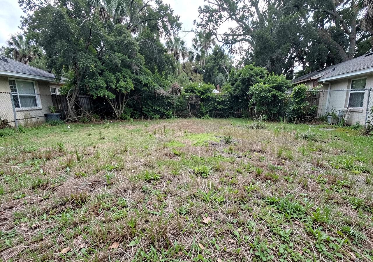 Backyard before landscaping — overgrown patchy lawn